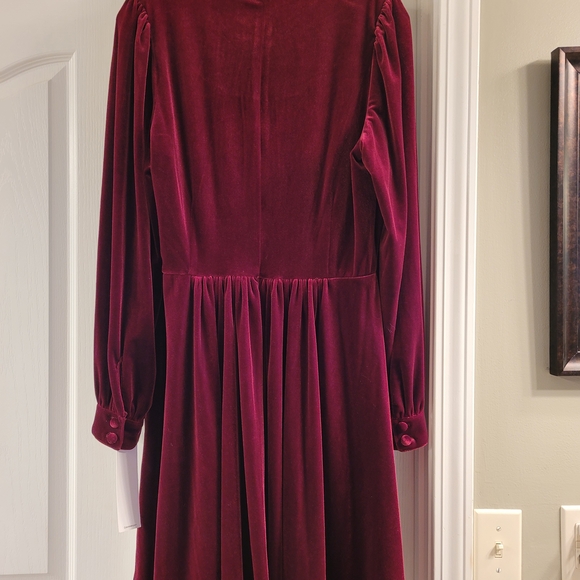 Calvin Klein Rich Burgundy Velvet Dress - Picture 5 of 7